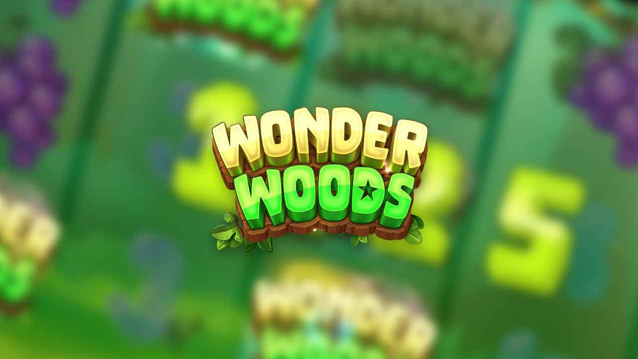 wonder woods board game