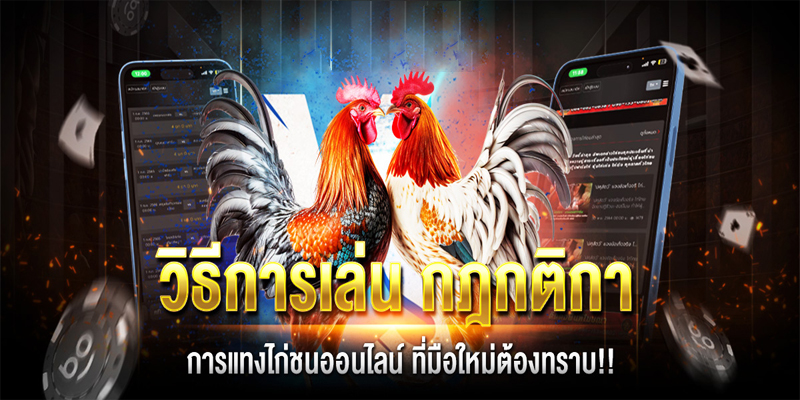 เกมไก่ชน-"cockfighting game"